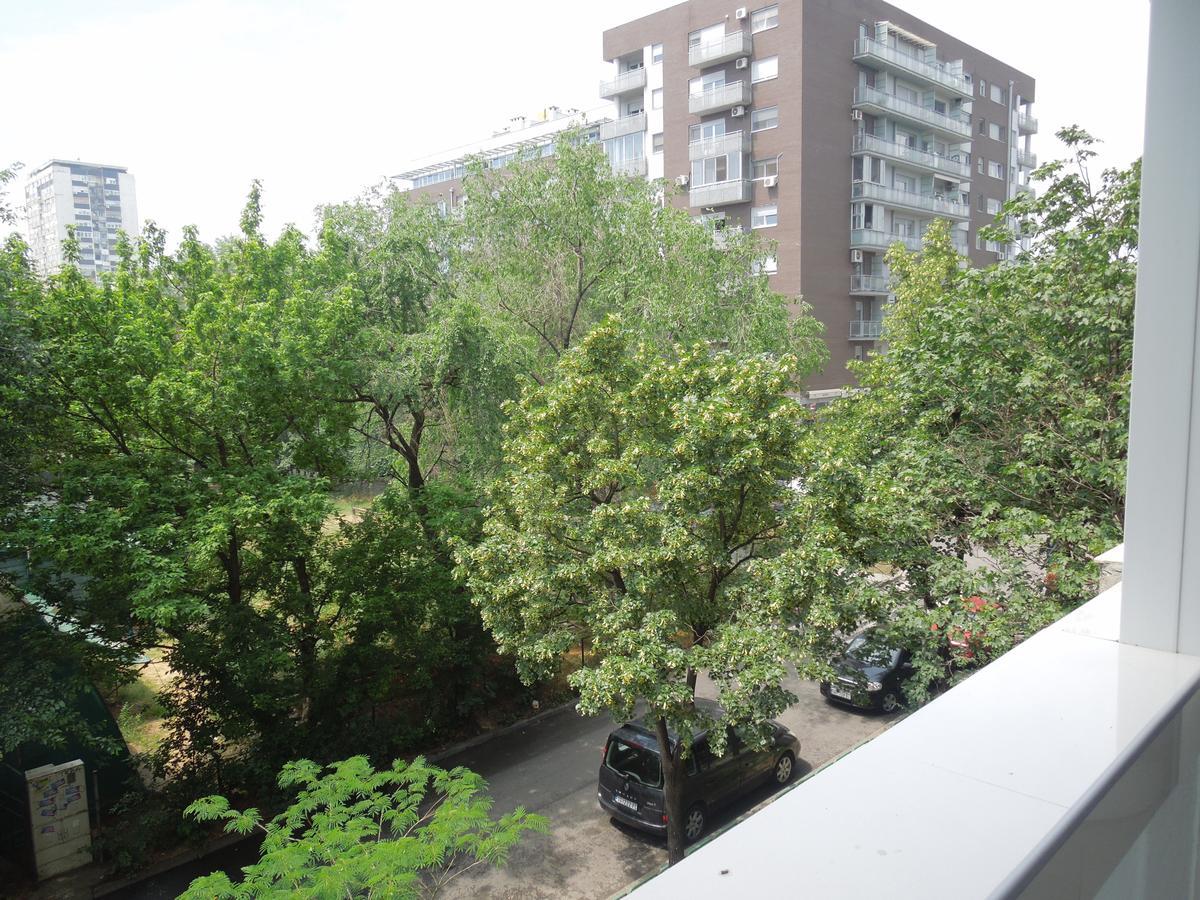 Danube Blue Apartment Beograd Bagian luar foto